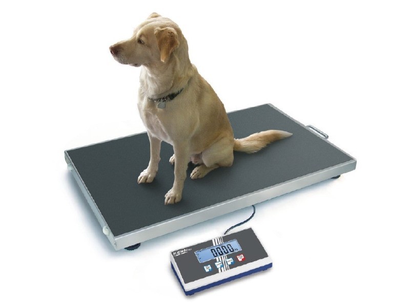 Hondenweegschaal Kern EOS – weegvermogen 150 kg – speciale dierweegfunctie